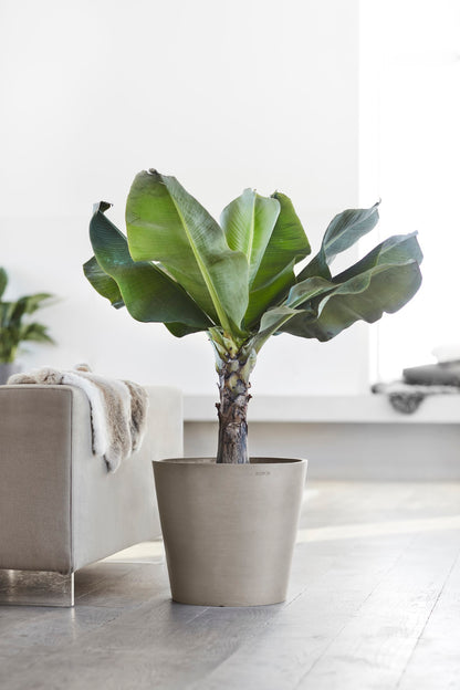 Kukkaruukku Amsterdam 60cm taupe – tunnelmakuva 2