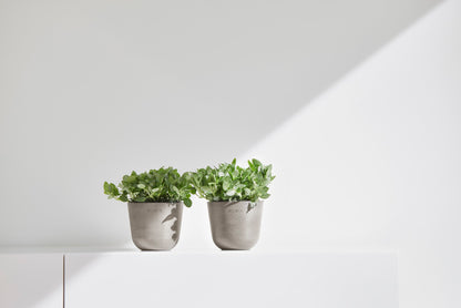 Kukkaruukku Oslo 11,5cm taupe – tunnelmakuva