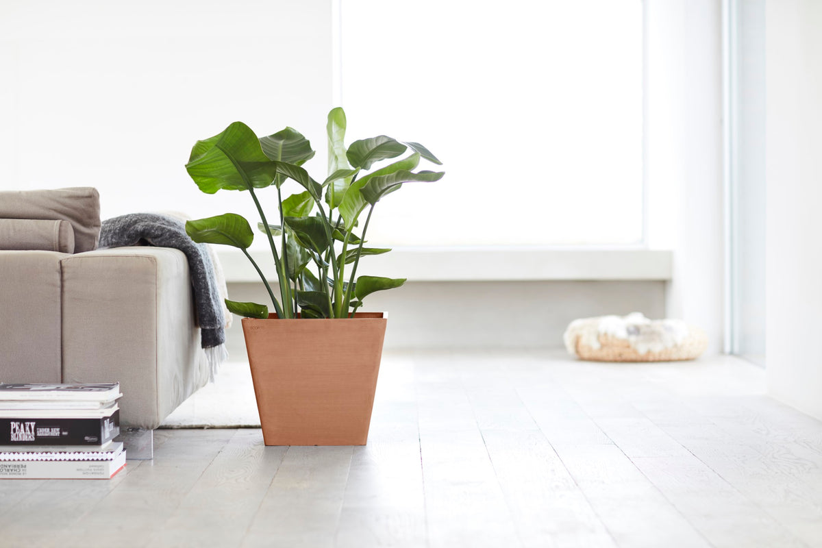 Kukkaruukku Rotterdam 50cm terracotta – tunnelmakuva