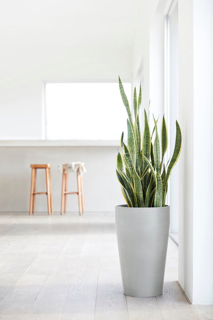 Kukkaruukku Sankara korkea 75cm valkoharmaa – tunnelmakuva