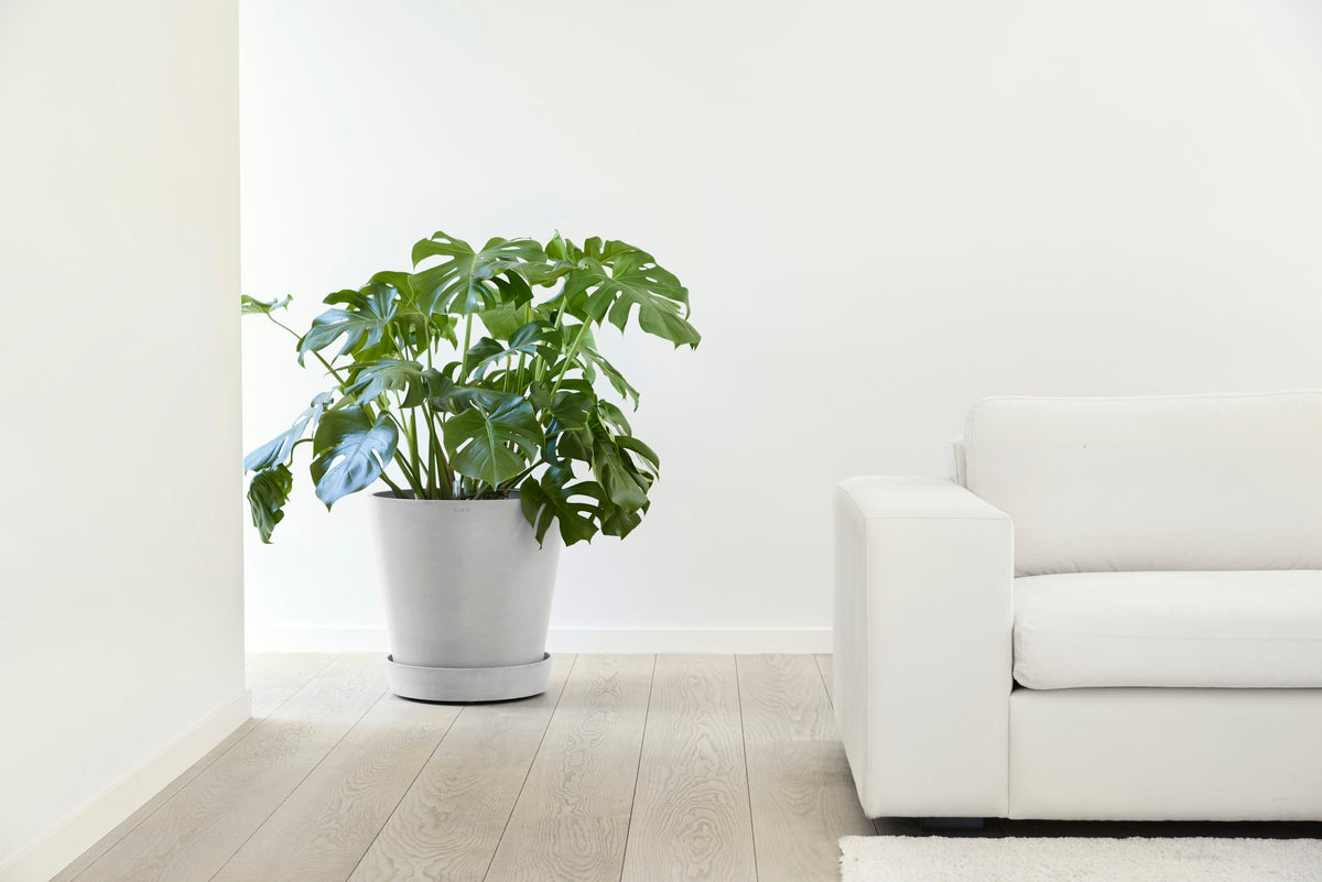 Aluslautanen Amsterdam pyörillä 50cm valkoharmaa – tunnelmakuva