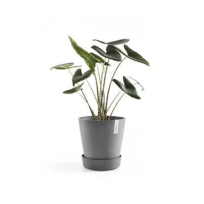 Kukkaruukku - Ecopots - Aluslautanen Amsterdam pyörillä 30cm harmaa - Ecopots - Uuden aikakauden kukkaruukku kierrätysmateriaalista