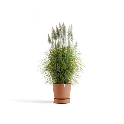 Kukkaruukku - Ecopots - Aluslautanen Oslo pyörillä 45cm terracotta - Ecopots - Uuden aikakauden kukkaruukku kierrätysmateriaalista