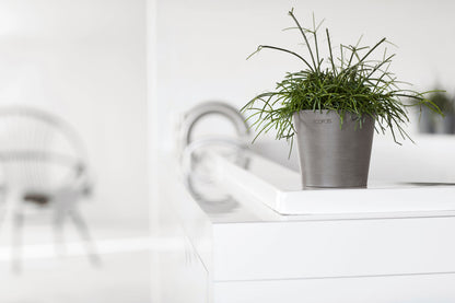 Kukkaruukku - Ecopots - Amsterdam 10,5cm taupe - Ecopotskauppa - Uuden aikakauden kukkaruukku