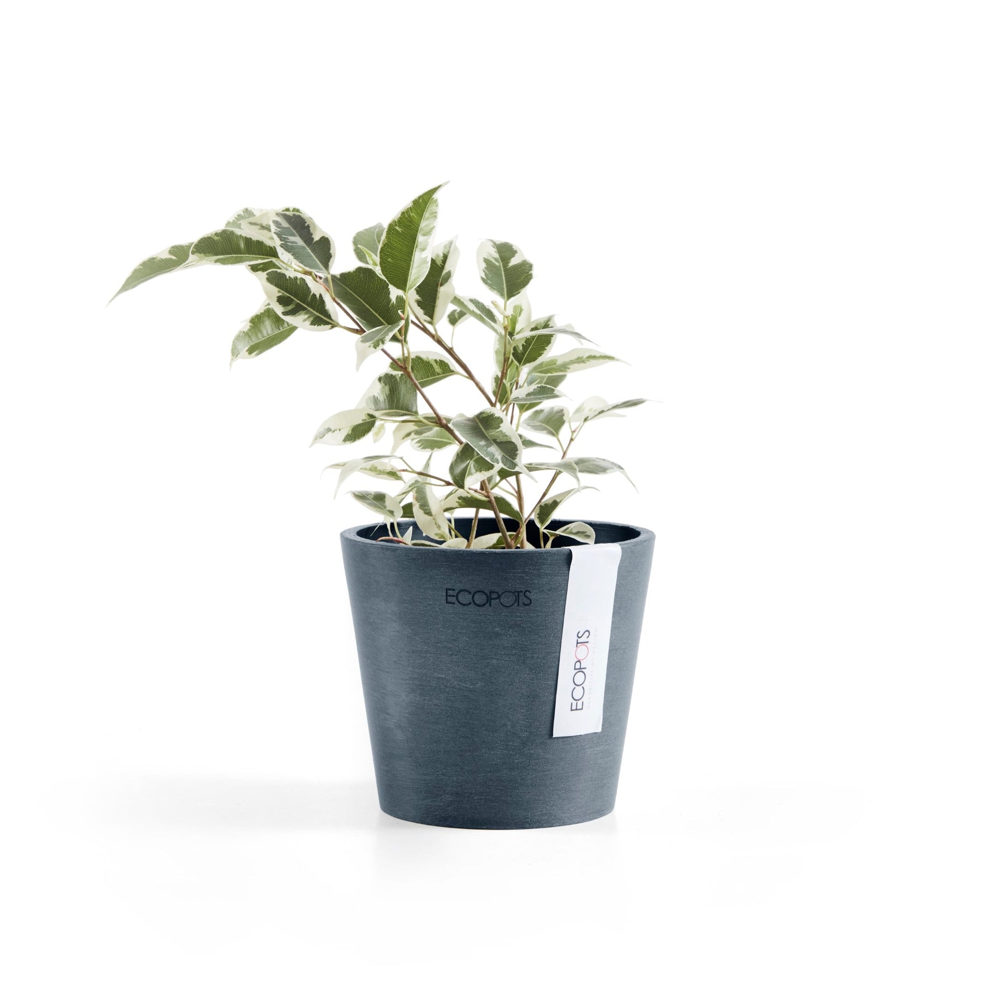 Kukkaruukku - Ecopots - Amsterdam 10,5cm tummansininen - Ecopotskauppa - Uuden aikakauden kukkaruukku