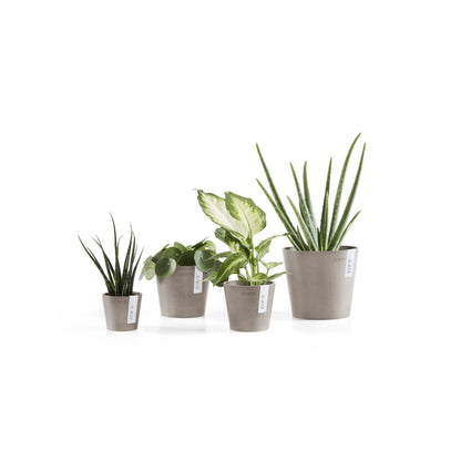 Kukkaruukku - Ecopots - Amsterdam 13cm taupe - Ecopotskauppa - Uuden aikakauden kukkaruukku
