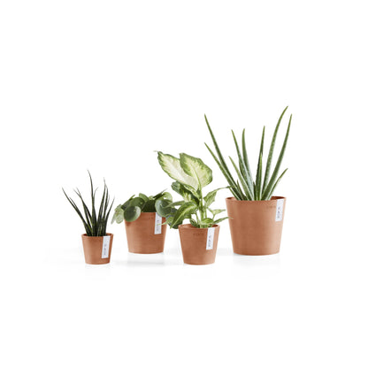Kukkaruukku - Ecopots - Amsterdam 13cm terracotta - Ecopotskauppa - Uuden aikakauden kukkaruukku