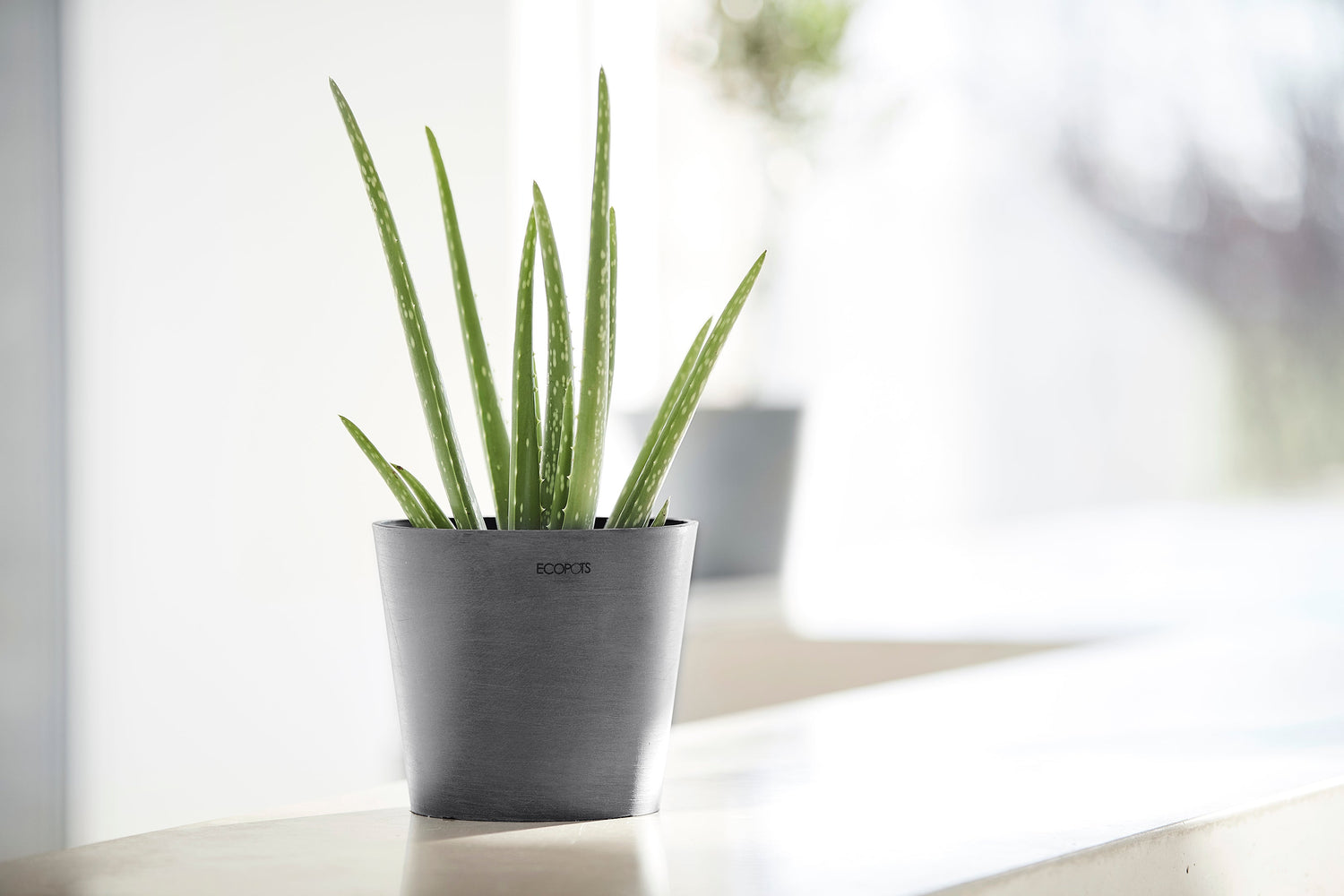 Kukkaruukku - Ecopots - Amsterdam 17cm harmaa - Ecopotskauppa - Uuden aikakauden kukkaruukku