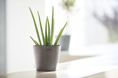 Kukkaruukku - Ecopots - Amsterdam 17cm taupe - Ecopotskauppa - Uuden aikakauden kukkaruukku