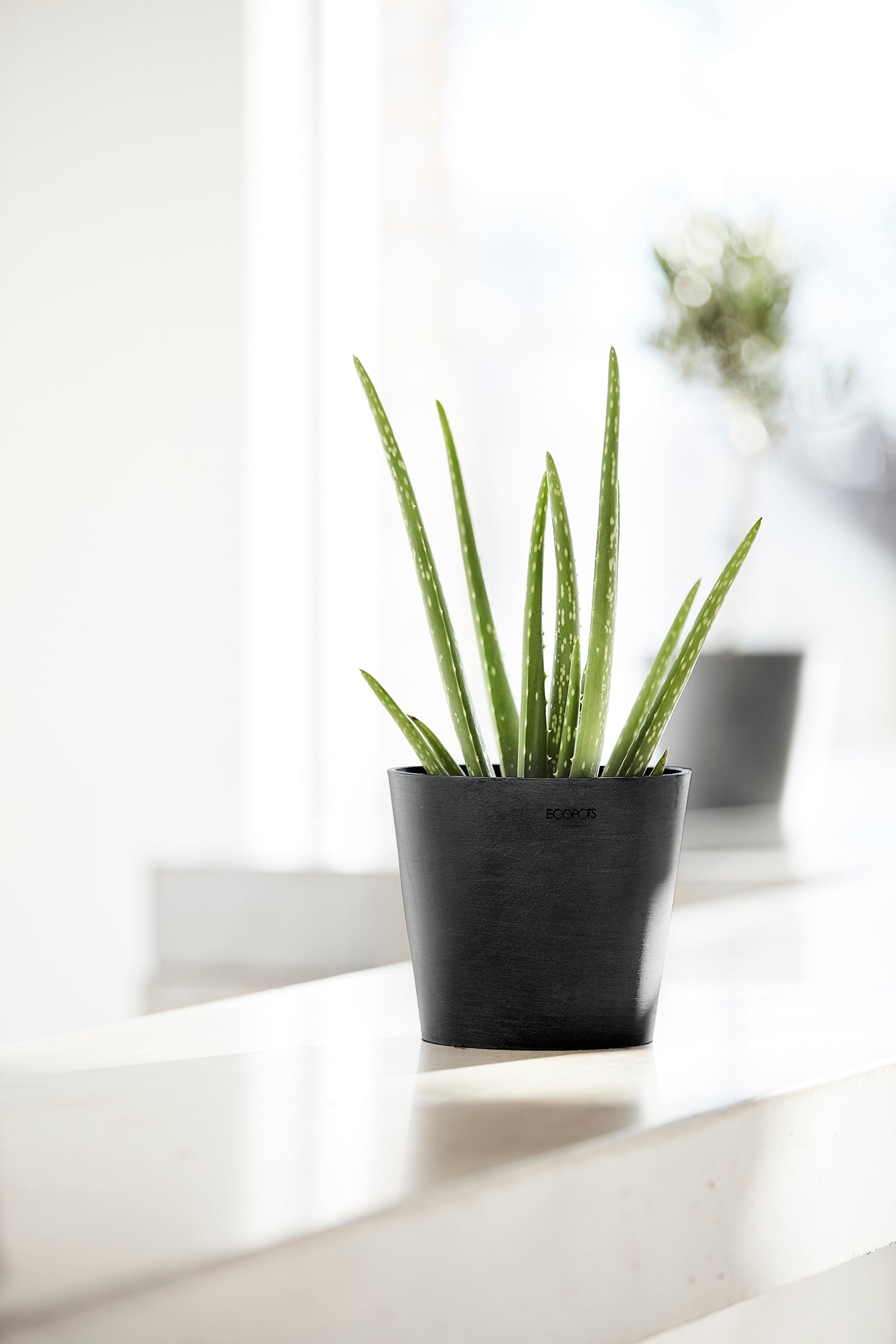Kukkaruukku - Ecopots - Amsterdam 17cm tummanharmaa - Ecopotskauppa - Uuden aikakauden kukkaruukku