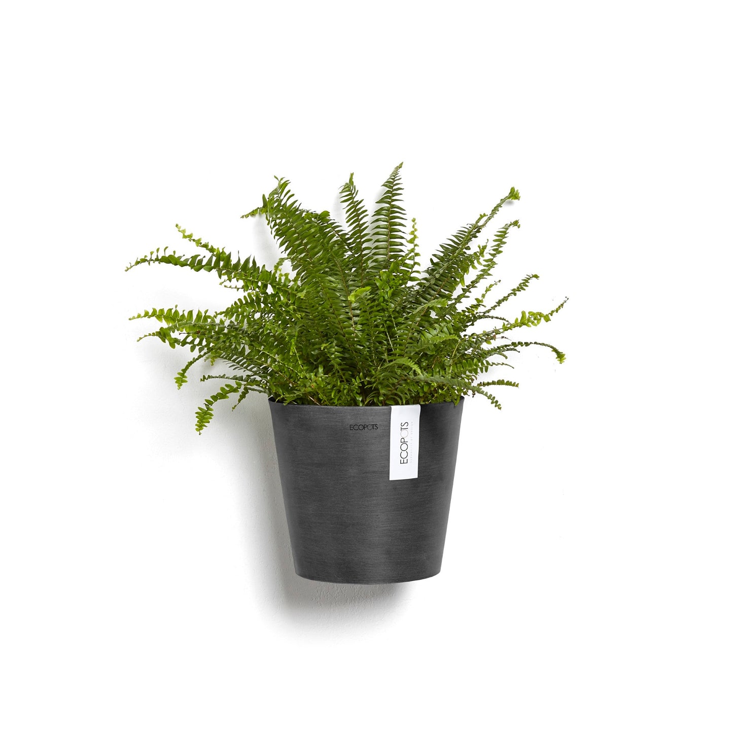 Kukkaruukku - Ecopots - Amsterdam 20cm seinäruukku tummanharmaa - Ecopotskauppa - Uuden aikakauden kukkaruukku