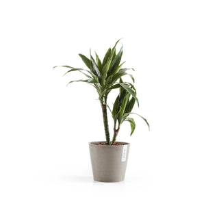 Lillepott Amsterdam 20cm taupe