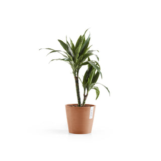 Lillepott Amsterdam 20cm terrakota
