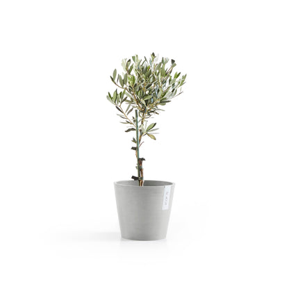 Kukkaruukku - Ecopots - Amsterdam 20cm valkoharmaa - Ecopotskauppa - Uuden aikakauden kukkaruukku