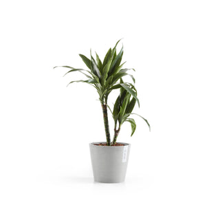 Lillepott Amsterdam 20cm valgehall