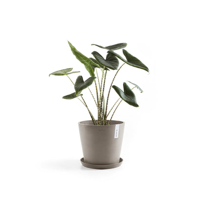 Kukkaruukku - Ecopots - Amsterdam 25cm taupe - Ecopotskauppa - Uuden aikakauden kukkaruukku