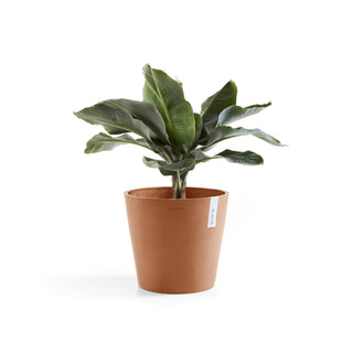 Lillepott Amsterdam 25cm terrakota