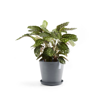 Kukkaruukku - Ecopots - Amsterdam 30cm siniharmaa - Ecopotskauppa - Uuden aikakauden kukkaruukku