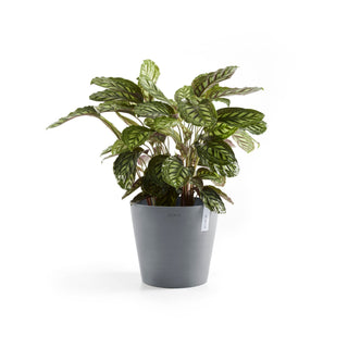 Kukkaruukku Amsterdam 30cm siniharmaa