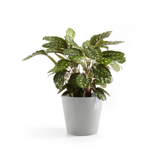 Lillepott Amsterdam 30cm valgehall