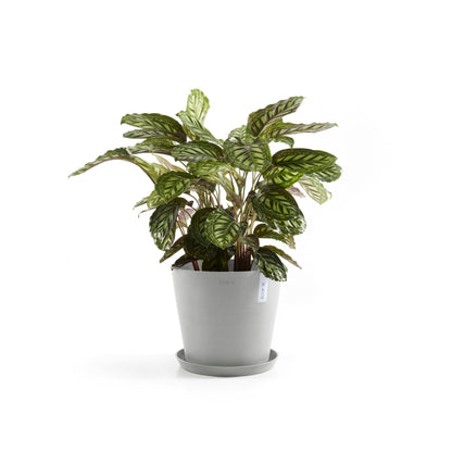 Kukkaruukku - Ecopots - Amsterdam 30cm valkoharmaa - Ecopotskauppa - Uuden aikakauden kukkaruukku