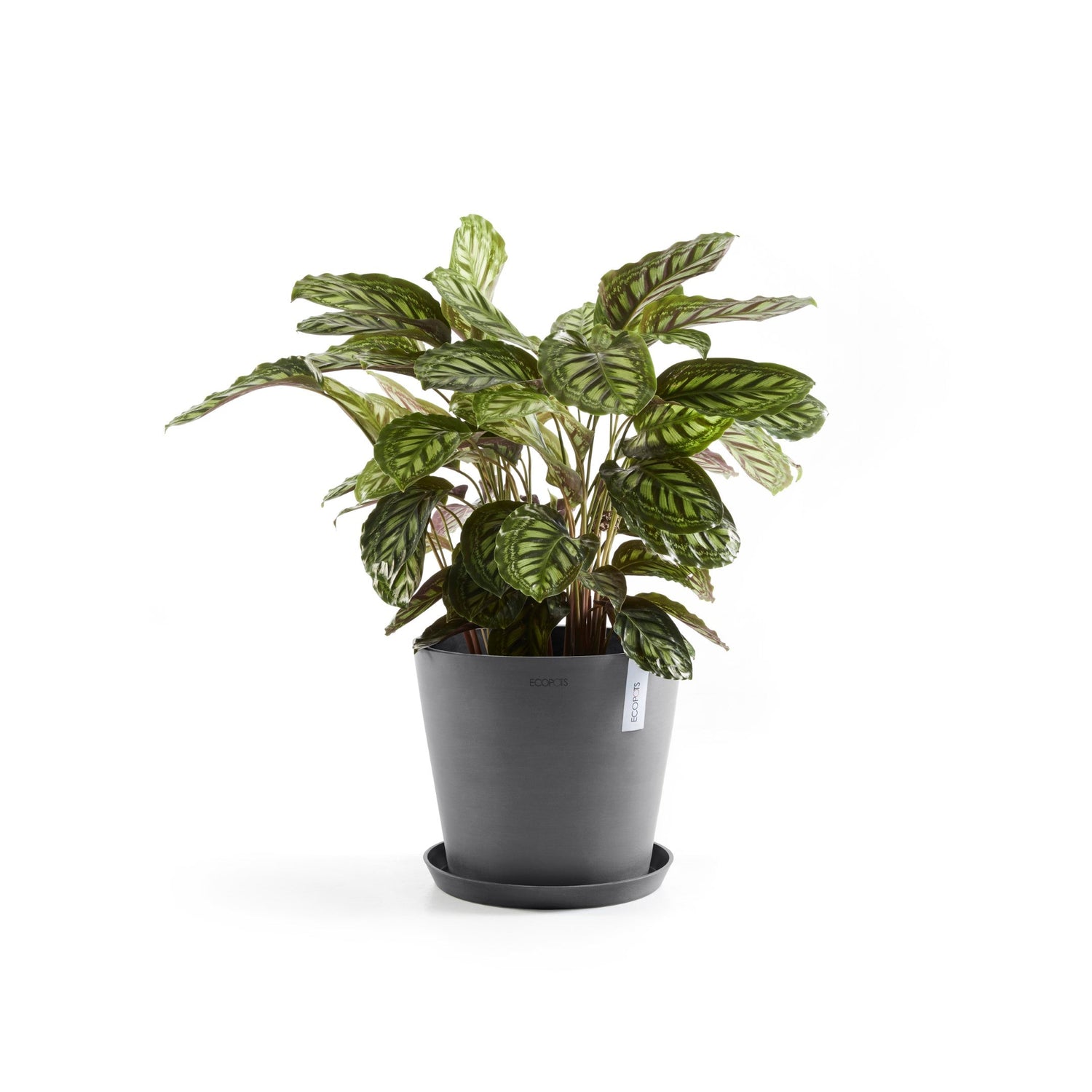 Kukkaruukku - Ecopots - Amsterdam 40cm harmaa - Ecopotskauppa - Uuden aikakauden kukkaruukku