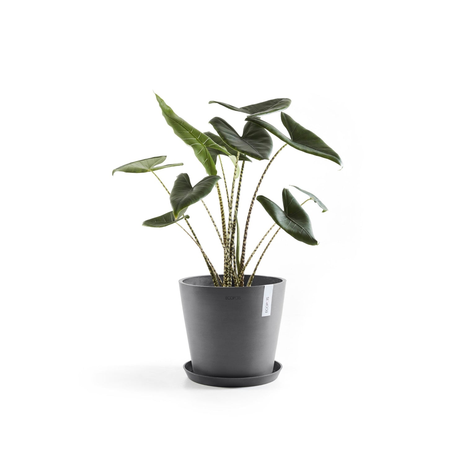Kukkaruukku - Ecopots - Amsterdam 40cm harmaa - Ecopotskauppa - Uuden aikakauden kukkaruukku