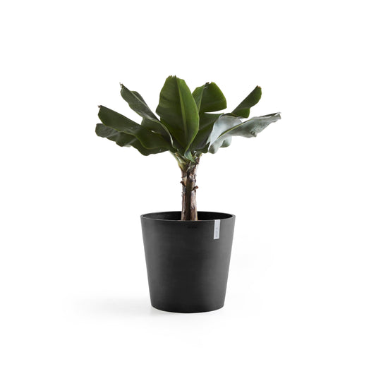 Kukkaruukku - Ecopots - Amsterdam 60cm tummanharmaa - Ecopotskauppa - Uuden aikakauden kukkaruukku