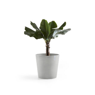 Kukkaruukku Amsterdam 60cm valkoharmaa