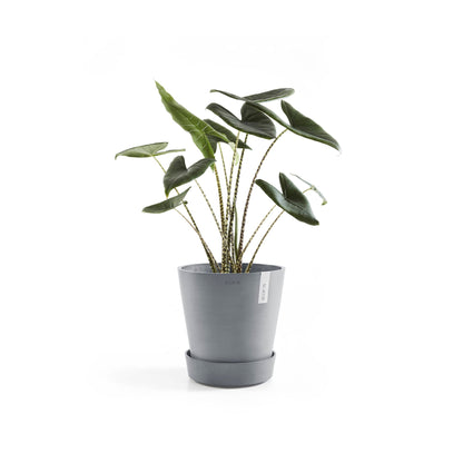 Kukkaruukku - Ecopots - Amsterdam aluslautanen pyörillä 40cm siniharmaa - Ecopotskauppa - Uuden aikakauden kukkaruukku