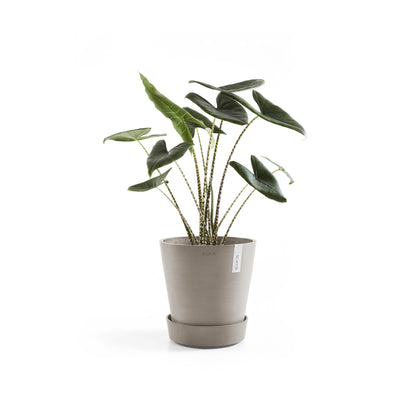 Kukkaruukku - Ecopots - Amsterdam aluslautanen pyörillä 50cm taupe - Ecopotskauppa - Uuden aikakauden kukkaruukku