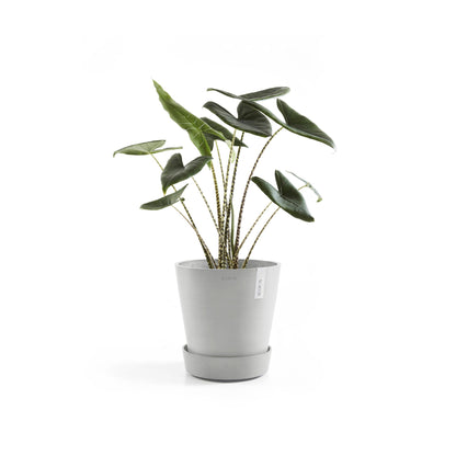 Kukkaruukku - Ecopots - Amsterdam aluslautanen pyörillä 50cm valkoharmaa - Ecopotskauppa - Uuden aikakauden kukkaruukku
