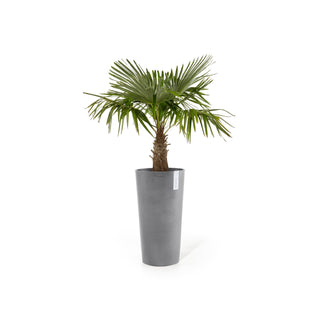 Lillepott Amsterdam kõrge 76cm hall