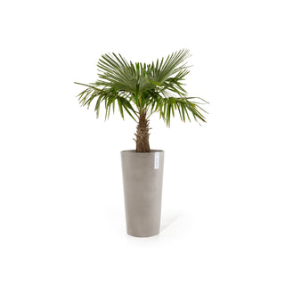 Kukkaruukku Amsterdam korkea 76cm taupe