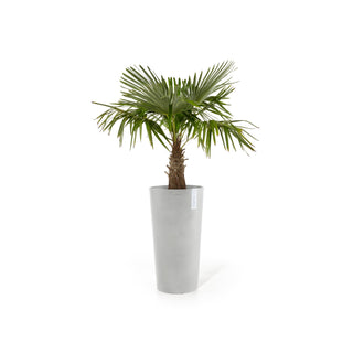 Kukkaruukku Amsterdam korkea 76cm valkoharmaa
