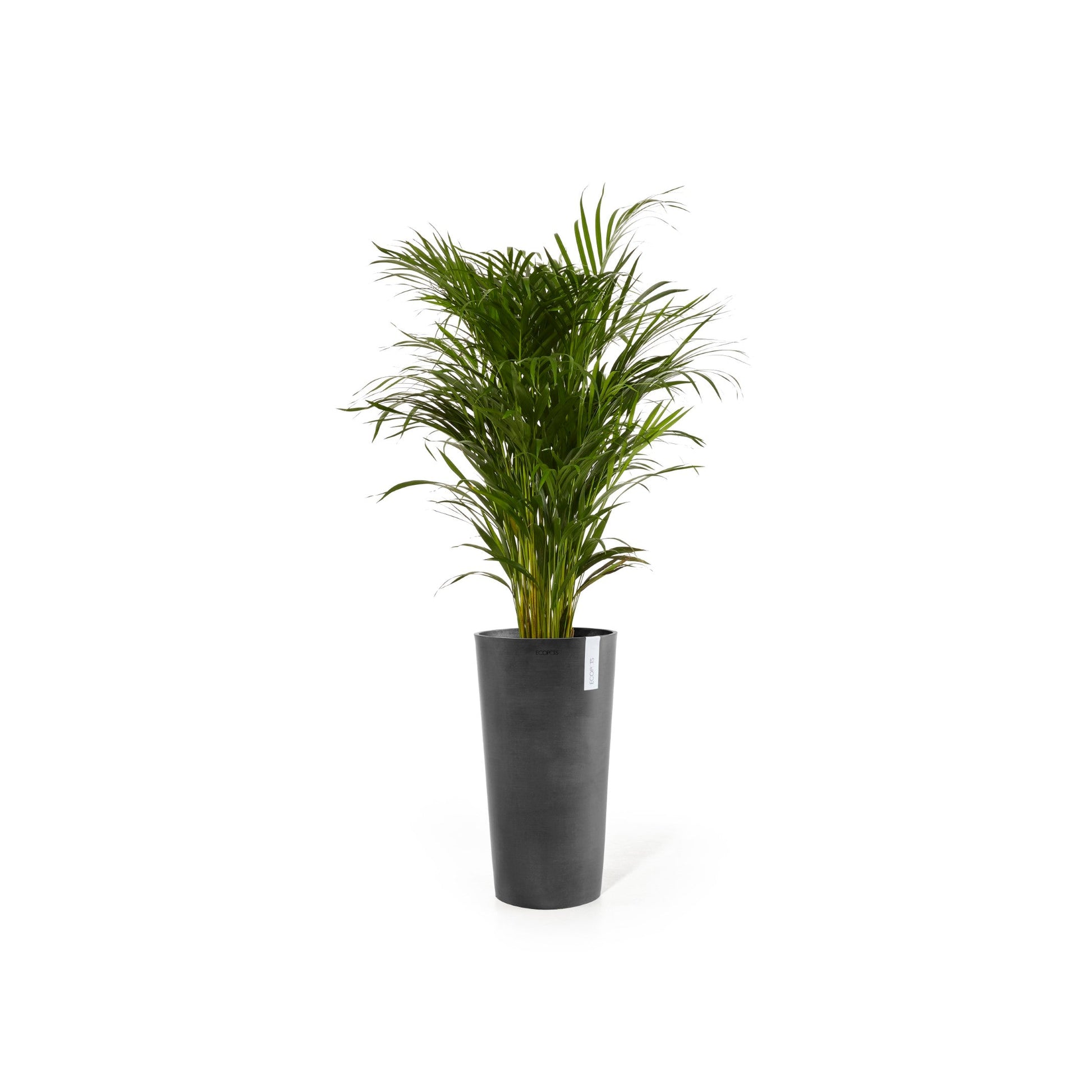 Kukkaruukku - Ecopots - Amsterdam korkea 90cm tummanharmaa - Ecopotskauppa - Uuden aikakauden kukkaruukku