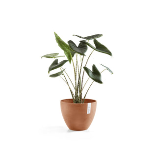Lillepott Antwerpen 30cm terrakota