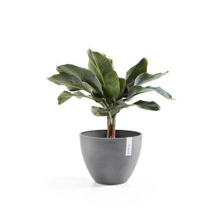 Lillepott Antwerpen 40cm hall