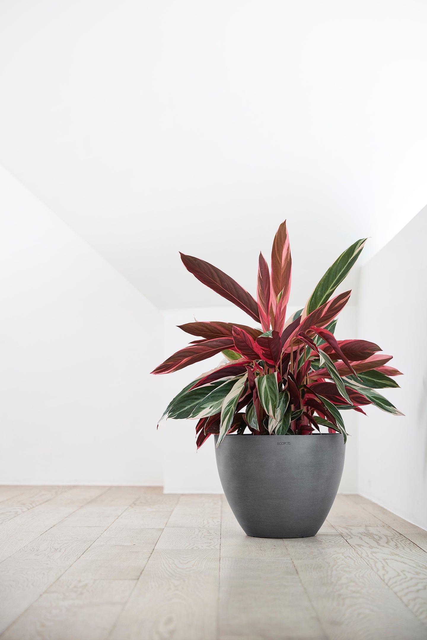 Kukkaruukku - Ecopots - Antwerpen 40cm harmaa - Ecopotskauppa - Uuden aikakauden kukkaruukku