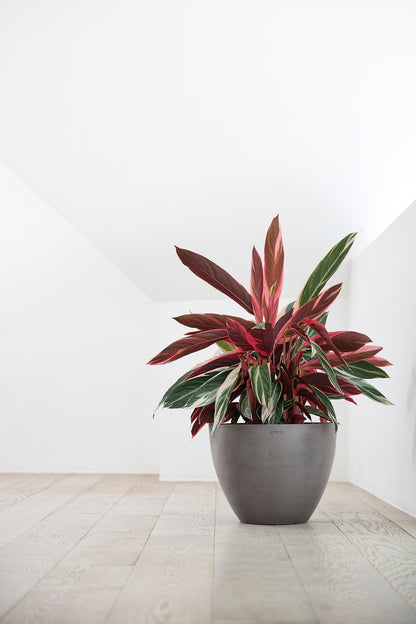Kukkaruukku - Ecopots - Antwerpen 40cm taupe - Ecopotskauppa - Uuden aikakauden kukkaruukku