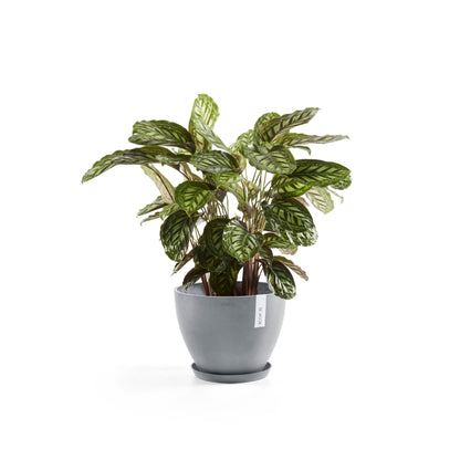 Kukkaruukku - Ecopots - Antwerpen 50cm siniharmaa - Ecopotskauppa - Uuden aikakauden kukkaruukku