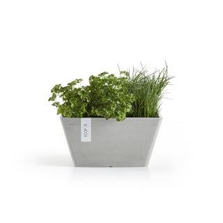 Kukkaruukku Berliini 30cm valkoharmaa