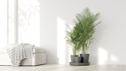 Kukkaruukku - Ecopots - Dubai 56cm harmaa - Ecopotskauppa - Uuden aikakauden kukkaruukku