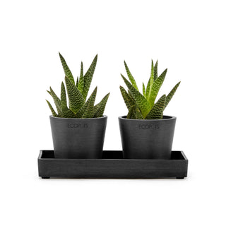 Esitlusalus 20cm tumehall
