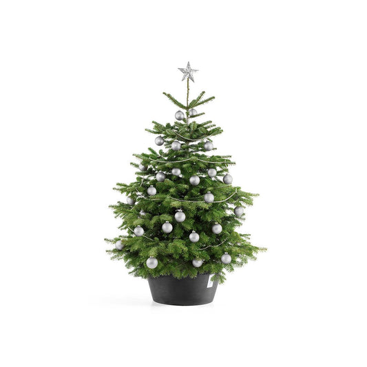 Kukkaruukku - Ecopots - Joulukuusenjalka XL tummanharmaa - Ecopots - Uuden aikakauden kukkaruukku kierrätysmateriaalista