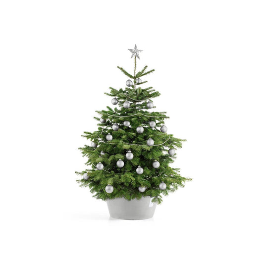 Kukkaruukku - Ecopots - Joulukuusenjalka XL valkoharmaa - Ecopots - Uuden aikakauden kukkaruukku kierrätysmateriaalista