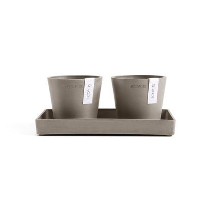 Kukkaruukku - Ecopots - Kukkaruukku Amsterdam 10,5cm 2kpl & esillepanotarjotin 25cm taupe - Ecopots - Uuden aikakauden kukkaruukku kierrätysmateriaalista