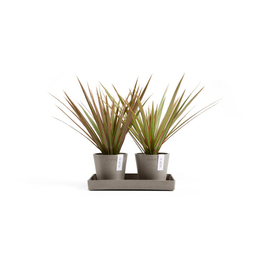 Kukkaruukku - Ecopots - Kukkaruukku Amsterdam 10,5cm 2kpl & esillepanotarjotin 25cm taupe - Ecopots - Uuden aikakauden kukkaruukku kierrätysmateriaalista