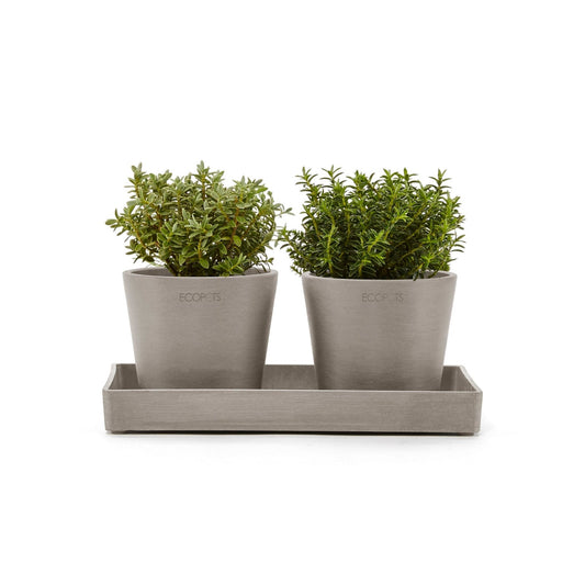 Kukkaruukku - Ecopots - Kukkaruukku esillepanotarjotin 25cm taupe - Ecopots - Uuden aikakauden kukkaruukku kierrätysmateriaalista