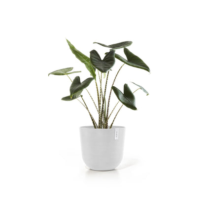 Kukkaruukku - Ecopots - Kukkaruukku Oslo 45cm valkoinen - Ecopots - Uuden aikakauden kukkaruukku kierrätysmateriaalista
